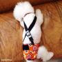 Barkertime Dog Diaper Suspender - Black Adjustable Suspender to Keep Dog Diapers On