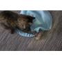 SmartyKat Hot Pursuit Cat Toy Concealed Motion Toy, Blue