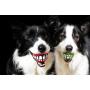 Rogz Grinz Medium Ball Dog Toy