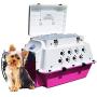 Pet Cooler Carrier Premium Cool for All Seasons! Cooling, Hydration, Storage, Sturdiness & Style.