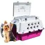 Pet Cooler Carrier Premium Cool for All Seasons! Cooling, Hydration, Storage, Sturdiness & Style. Pet Cooler Carrier Premium Cool for All Seasons! Cooling, Hydration, Storage, Sturdiness & Style.