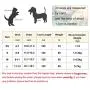 Dog Harness Vest Set Step in Puppy Vest Harness Leash Soft Mesh No Choke for Large Medium Pets Red L