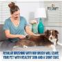 Pet Craft Supply Self-Cleaning Pet Grooming Hair Deshedding Brush Tool for Small Dogs and Cats with Short to Long Hair