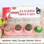 Grehod Licking Le Catnip Ball Cat Snack Toys Molar Teeth Helps Digestion Emetic Molar Teeth Teeth Rotate Catnip Balls Gall Fruit Silvervine Ball Gall Nut Ball