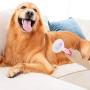 HavingDogCleaning Slicker Brush for Dogs and Cats, Pet Grooming Hair Brush with Pin,Improve Blood Circulation and Massage