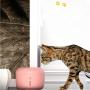 CHZHENG Automatic Pet Feeder, Cat Fountain Drinking Drinking Fountain 2.5l Automatic Drinker Water Bowl Pet Dog Cats Electric USB Dispens,C