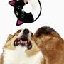 HugSmart Pet – Plush Cutie | Cute Squeaky Plush Dog Toys for Small Medium Dogs - 2 Pack