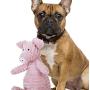 KINJUWEE Squeak Dog Chew Toys Durable Soft Dog Plush Toys for Small Medium Large Dogs Indestructible Stuffed Corduroy Pet Toys for Clean Dogs Teeth,Pig,Pink