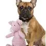 KINJUWEE Squeak Dog Chew Toys Durable Soft Dog Plush Toys for Small Medium Large Dogs Indestructible Stuffed Corduroy Pet Toys for Clean Dogs Teeth,Pig,Pink KINJUWEE Squeak Dog Chew Toys Durable Soft Dog Plush Toys for Small Medium Large Dogs Indestructible Stuffed Corduroy Pet Toys for Clean Dogs Teeth,Pig,Pink