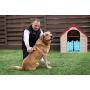 AEXYA - Premium Dog Dematting Tools
