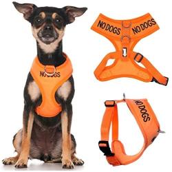 Dexil Limited NO Dogs (Not Good with Other Dogs) Orange Color Coded Non-Pull Front and Back D Ring Padded and Waterproof Vest Dog Harness Prevents Accidents by Warning Others of Your Dog in Advance