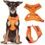 Dexil Limited NO Dogs (Not Good with Other Dogs) Orange Color Coded Non-Pull Front and Back D Ring Padded and Waterproof Vest Dog Harness Prevents Accidents by Warning Others of Your Dog in Advance Dexil Limited NO Dogs (Not Good with Other Dogs) Orange Color Coded Non-Pull Front and Back D Ring Padded and Waterproof Vest Dog Harness Prevents Accidents by Warning Others of Your Dog in Advance