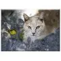 Triple Blank Wall Plate Cover - Cat Feline Pet Feline Look Animal Pussycat Triple Blank Wall Plate Cover - Cat Feline Pet Feline Look Animal Pussycat