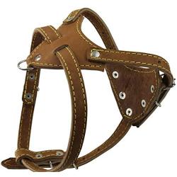 Brown Genuine Leather Dog Harness, 16.5''-20'' Chest Size, 1/2'' Wide