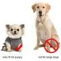 WINSOON Dog Australia Boots Pet Antiskid Shoes Winter Warm Skidproof Sneakers Paw Protectors 4-pcs Set WINSOON Dog Australia Boots Pet Antiskid Shoes Winter Warm Skidproof Sneakers Paw Protectors 4-pcs Set