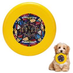 Pet Frisbee Flying Disc Dog Toy - Multifunction Financial Freedom Teal Eye Print Store