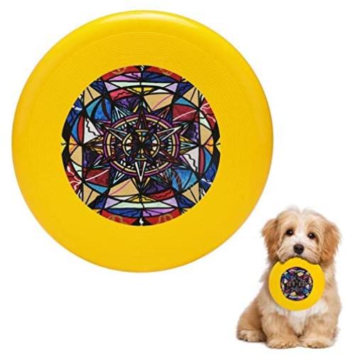 Pet Frisbee Flying Disc Dog Toy - Multifunction Financial Freedom Teal Eye Print Store