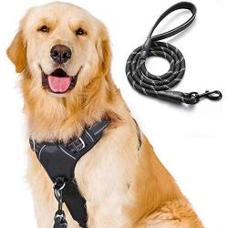 rabbitgoo No Pull Dog Harness and Leash Set with 2 Metal Clips Reflective Front Walking Harness for Small Medium Large Dogs Adjustable Padded Pet Vest Harnesses with Easy Control Soft Handle