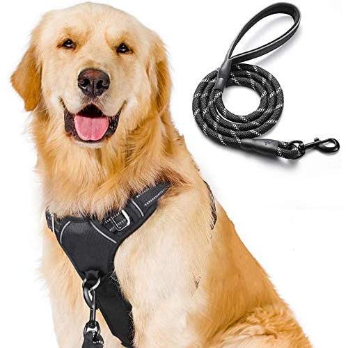 rabbitgoo No Pull Dog Harness and Leash Set with 2 Metal Clips Reflective Front Walking Harness for Small Medium Large Dogs Adjustable Padded Pet Vest Harnesses with Easy Control Soft Handle