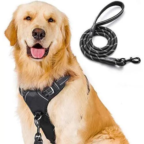 rabbitgoo No Pull Dog Harness and Leash Set with 2 Metal Clips Reflective Front Walking Harness for Small Medium Large Dogs Adjustable Padded Pet Vest Harnesses with Easy Control Soft Handle rabbitgoo No Pull Dog Harness and Leash Set with 2 Metal Clips Reflective Front Walking Harness for Small Medium Large Dogs Adjustable Padded Pet Vest Harnesses with Easy Control Soft Handle