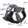 Red Dingo Padded Harness