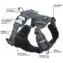 Red Dingo Padded Harness Red Dingo Padded Harness