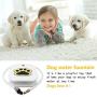 MATOP Dog Water Fountain