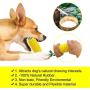 Dog Toothbrush Teeth Cleaning Chew Toys,Indestructible Dog Toys for Aggressive Chewers,Yellow Corn Shape Dog Teeth Cleaning Toy,Reduce Bad Breath and Promote Healthy Teeth and Gums