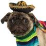 Rubies Pet Costume, Large, Mexican Serape