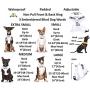 Blind Dog (Dog Has Limited/No Sight) White Color Coded Non-Pull Front and Back D Ring Padded and Waterproof Vest Dog Harness Prevents Accidents by Warning Others of Your Dog in Advance