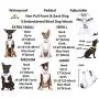 Blind Dog (Dog Has Limited/No Sight) White Color Coded Non-Pull Front and Back D Ring Padded and Waterproof Vest Dog Harness Prevents Accidents by Warning Others of Your Dog in Advance Blind Dog (Dog Has Limited/No Sight) White Color Coded Non-Pull Front and Back D Ring Padded and Waterproof Vest Dog Harness Prevents Accidents by Warning Others of Your Dog in Advance