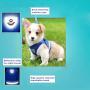 YujueShop Cat Harness and Leash Pet Vest Small Dog Harness Escape Proof Reflective Re-Adjustable Walking Soft Mesh with Pet Leash for Cats Puppies Pets