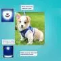YujueShop Cat Harness and Leash Pet Vest Small Dog Harness Escape Proof Reflective Re-Adjustable Walking Soft Mesh with Pet Leash for Cats Puppies Pets YujueShop Cat Harness and Leash Pet Vest Small Dog Harness Escape Proof Reflective Re-Adjustable Walking Soft Mesh with Pet Leash for Cats Puppies Pets