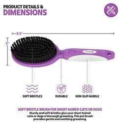Soft Bristle Dog Brush for Short Haired Cats Or Dogs - Firm Bristles to Remove Dust, Dirt, and Loose Fur - Hook and Rubber Handle
