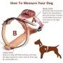 PESHOUCO Leather Dog Harness No Pull Design Genuine Leather Durable Strong Pet Harness with Adjustable Straps Easy Control Pet Vest PESHOUCO Leather Dog Harness No Pull Design Genuine Leather Durable Strong Pet Harness with Adjustable Straps Easy Control Pet Vest