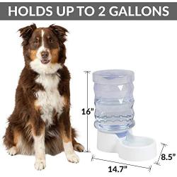PetFusion H2O Gravity Pet Water Dispenser. Durable 2.5 Gallon Water Feeder. Automatic Water Station for Cats & Small, Medium, & Large Dogs