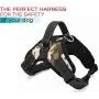 Pet Lovers Stuff Dog Harness Camo - Best Harness with Handle, Soft-Padded, Adjustable, Choke-Free, EZ on and Off Pet Lovers Stuff Dog Harness Camo - Best Harness with Handle, Soft-Padded, Adjustable, Choke-Free, EZ on and Off
