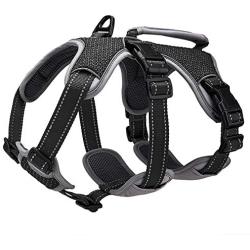 BELPRO Multi-Use Support Dog Harness, Escape Proof No Pull Reflective Adjustable Vest with Durable Handle, Dog Walking Harness for Big/Active Dogs