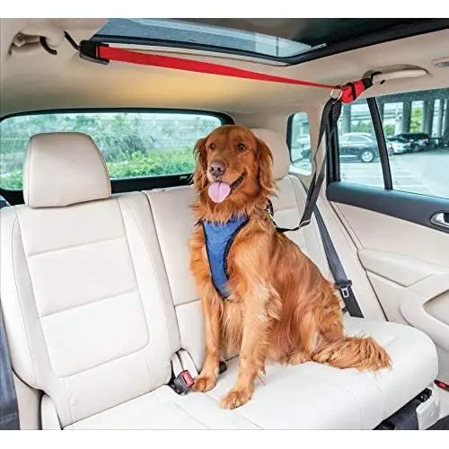PetSafe Happy Ride Dog Zipline - Back Seat Leash, Great for Travel PetSafe Happy Ride Dog Zipline - Back Seat Leash, Great for Travel
