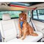 PetSafe Happy Ride Dog Zipline - Back Seat Leash, Great for Travel