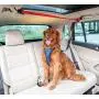 PetSafe Happy Ride Dog Zipline - Back Seat Leash, Great for Travel PetSafe Happy Ride Dog Zipline - Back Seat Leash, Great for Travel