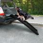 Dog Folding Ramp Large Portable Lightweight Dog and Cat Ramp Car Trunk Ladder Pet Collapsible Ramp