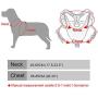 Didog Leather Spiked & Studded Medium & Large Dog Harness for Pit Bulldog Mastif