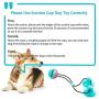 FANZ Pet Molar Bite Toy, Dog Chew Toys for Aggressive Chewers, Dog Rope Toys with Suction Cup for Teeth Cleaning