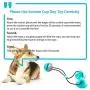 FANZ Pet Molar Bite Toy, Dog Chew Toys for Aggressive Chewers, Dog Rope Toys with Suction Cup for Teeth Cleaning FANZ Pet Molar Bite Toy, Dog Chew Toys for Aggressive Chewers, Dog Rope Toys with Suction Cup for Teeth Cleaning