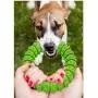 Sunglow Dog Chewing Ring, Soft Durable Rubber Ring,Dog Molar Toy, Deep Cleaning Ring for Teeth, Chewing Biting Chasing Training Pet Toy for Small and Medium Dog Puppy Sunglow Dog Chewing Ring, Soft Durable Rubber Ring,Dog Molar Toy, Deep Cleaning Ring for Teeth, Chewing Biting Chasing Training Pet Toy for Small and Medium Dog Puppy