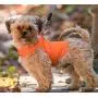 Dog Not Gone No Fly Zone Mini Safety Pet Vest Dog Not Gone No Fly Zone Mini Safety Pet Vest