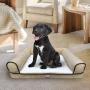 Animal Planet Orthopedic Luxury Dog Bed - Premium Memory Foam Pet Dog Sofa Bed Lounger with Washable Cover, Large and Jumbo - for Dogs & Cats