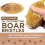 Paws Pamper Boar Bristle & Pin Brush for Dogs and Cats - Beechwood Handle
