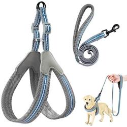 Wealer Dog Harness,The Most Easy to Control Adjustable Dog Harness and Leash Set,No Pull Breathable Soft Air Mesh Dog Vest Harness for Small and Medium Dogs…